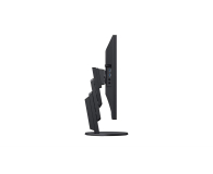 Eizo FlexScan EV2457-BK - 507530 - zdjęcie 6